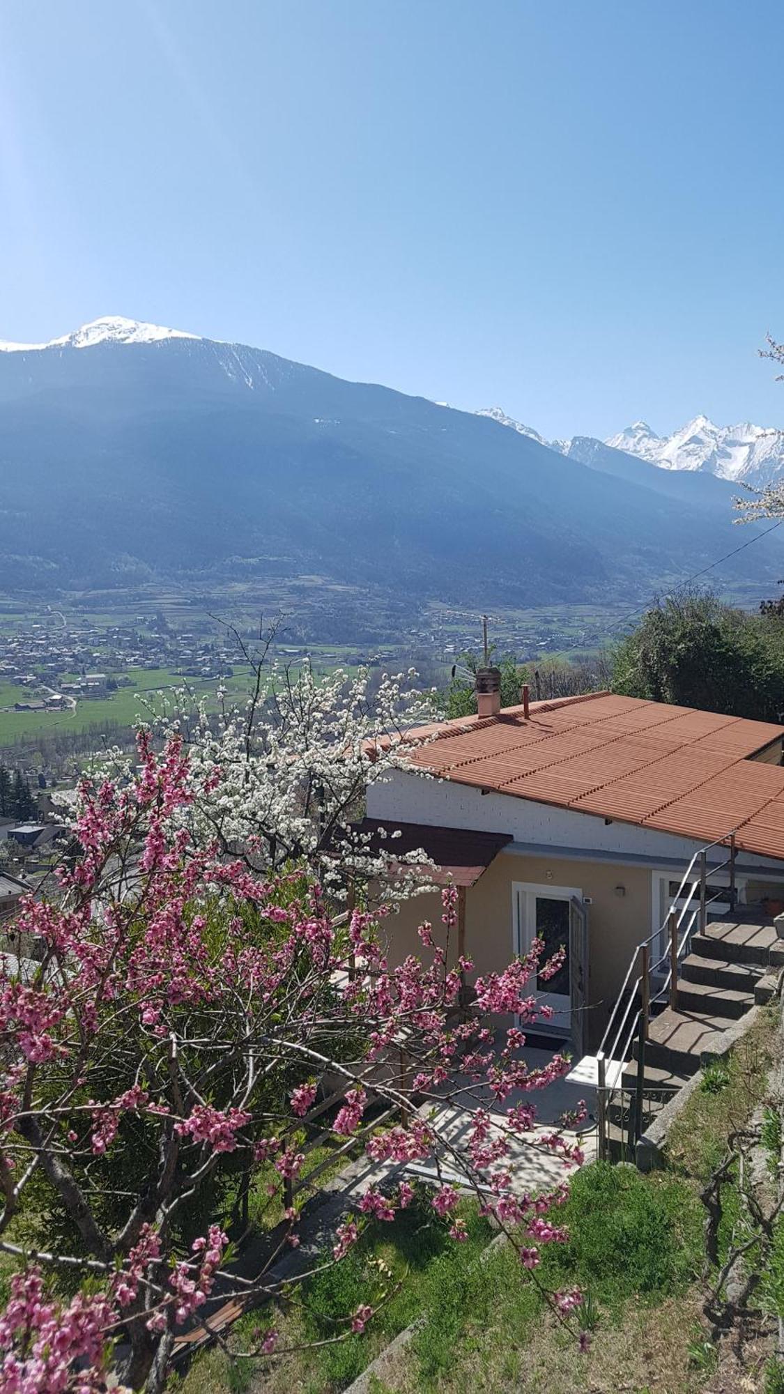 Casa Le Vignole - Holiday home