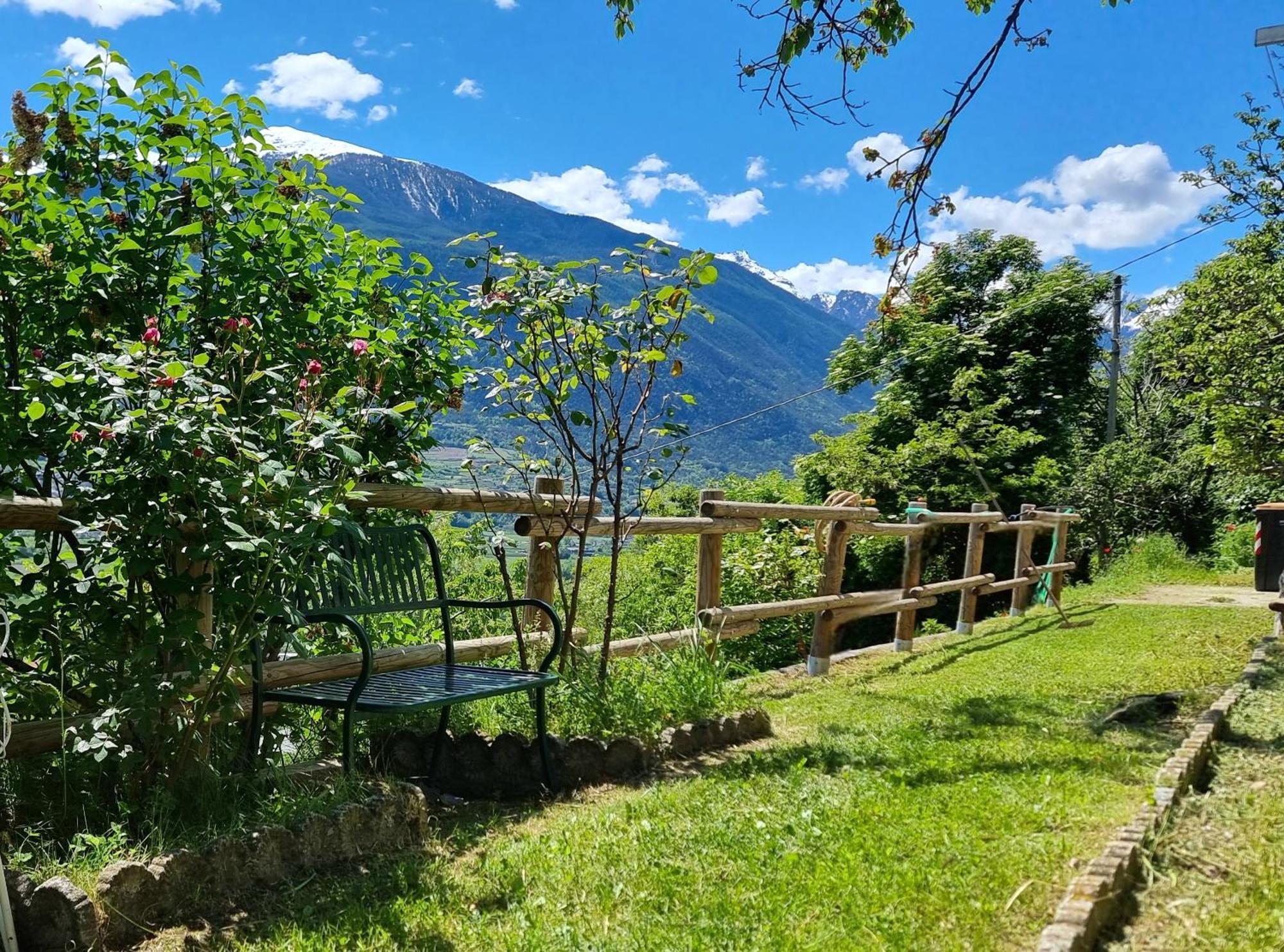 Casa Le Vignole - Holiday home